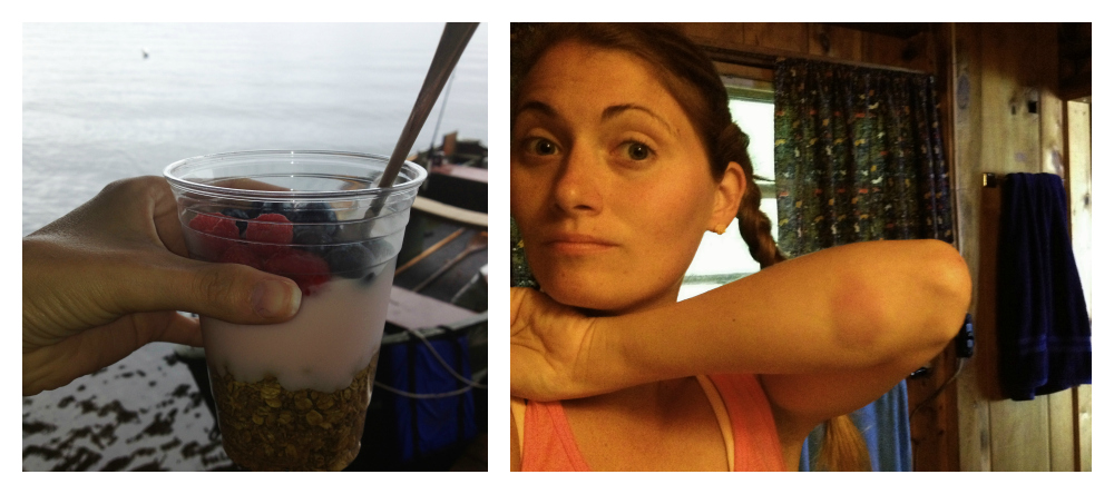 I had granola almost every morning after my run. The picture on the right shows the bruise I got after diving off the boat to rescue my dog, and when I came up out of the water, I hit the boat...