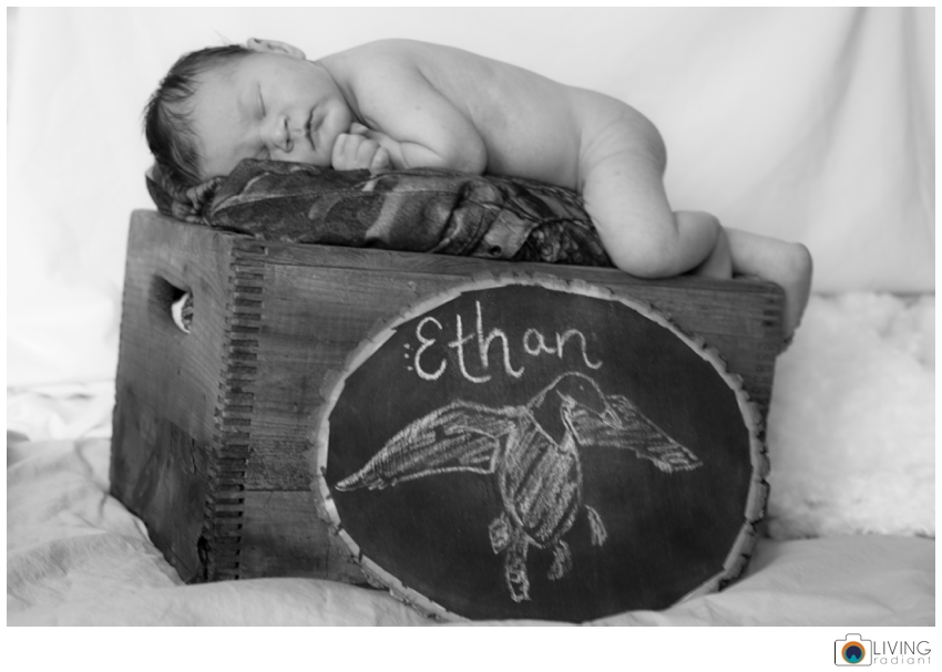 Ethan-Mentzer-Newborn-June-2014-Stomped_0025.jpg