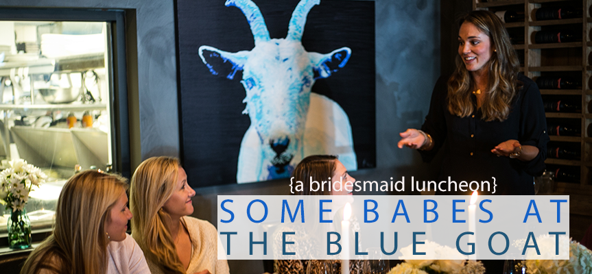 babes-the-blue-goat-header.png