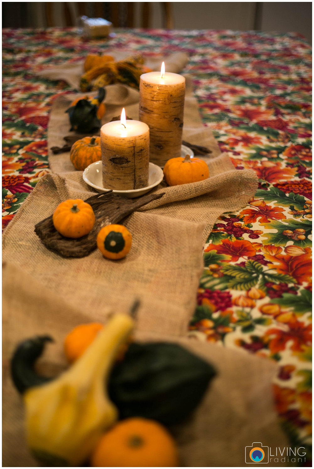 hoffman-nolan-libous-thanksgiving-family-pumpkins-and-pinecones_0001.jpg