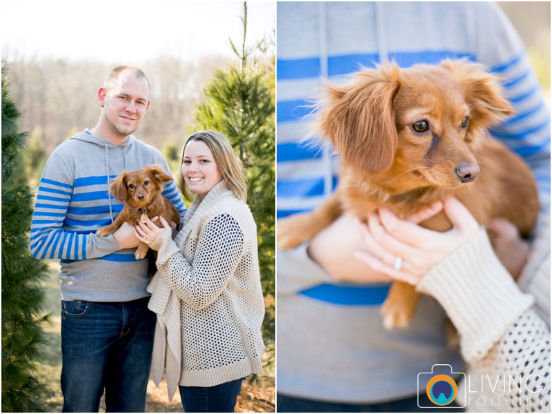 Amber-Chris-Christmas-Tree-Farm-Engagement-Session-Living-Radiant-Photography-maryland-best-photographers-outdoor_0002.jpg