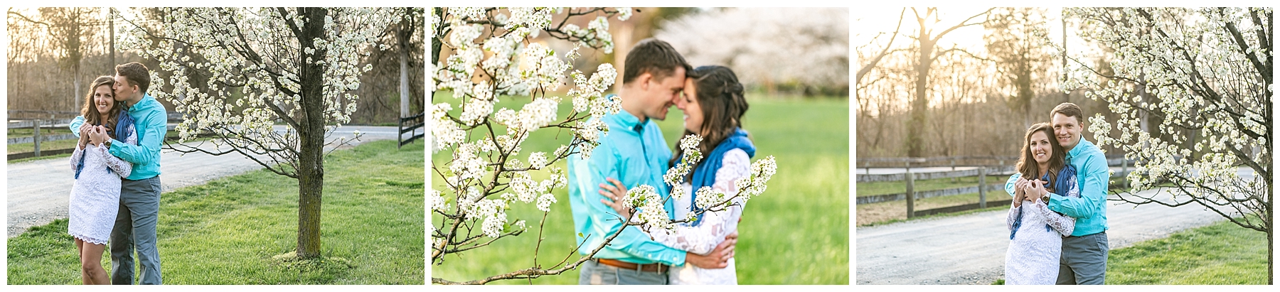 Chelsea Phil Private Estate Engagement Living Radiant Photography photos color_0029.jpg