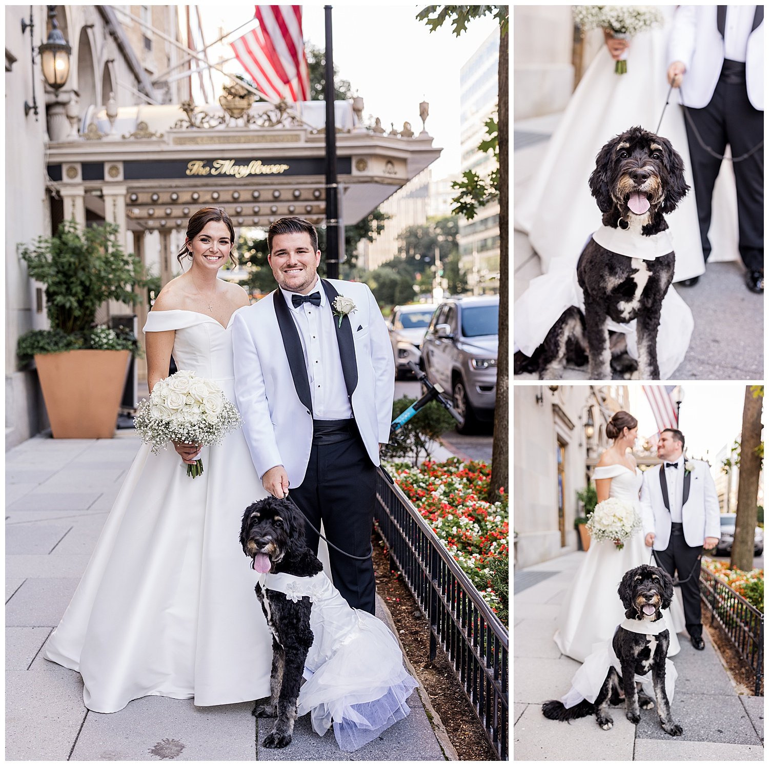 Michelle Pat Married Maylower Hotel Washington DC Wedding Living Radiant Photography Blog_0070.jpg